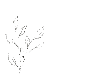 Plant Sticker