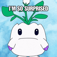 Shocked No Way GIF by Magic Eden