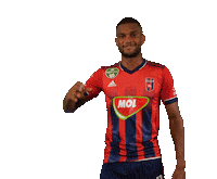 molfehervarfcgif vidi szekesfehervar nego fehervar Sticker