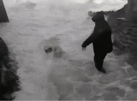 let me go destiny GIF by David