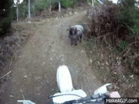 ram GIF