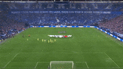 Football Soccer GIF by FC Schalke 04