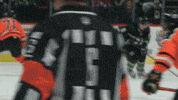 Black Bears GIF by Binghamton Black Bears