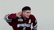 ncaasports hockey college ncaa ice GIF