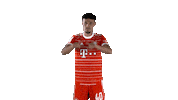 Noussair Mazraoui Football Sticker by FC Bayern Munich
