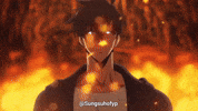 Solo Leveling Sung GIF