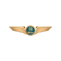 Runway19Coffee wings runway19 runway19coffee runway 19 coffee Sticker