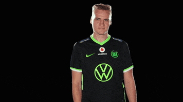 E Sports Sport GIF by VfL Wolfsburg