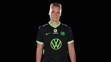 E Sports Sport GIF by VfL Wolfsburg