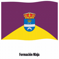 Castilla-La Mancha Flag GIF by Formación Ninja
