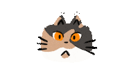 Cat Reaction Sticker