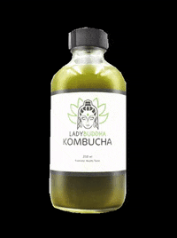 Drink Tea GIF by Lady Buddha Kombucha