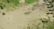 fight charge GIF by CraveTV