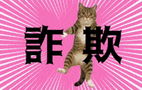 mgtne cat warning alert ねこ GIF