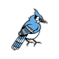 Blue Jays Mascot Sticker by Johns Hopkins University