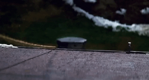 Jamie Lee Curtis Hello GIF