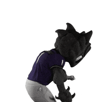 TCUAthletics football college goals athletics GIF