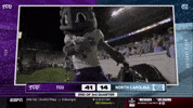Superman Frogs GIF by TCU Athletics