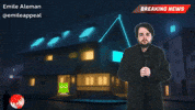 Breaking News Owl GIF