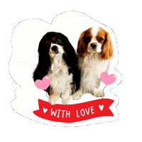 Cavalierkingcharlesspaniel Love Sticker