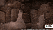 Hold On Animation GIF by SWR Kindernetz
