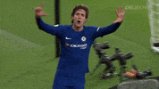 cfc alonso GIF by Chelsea FC