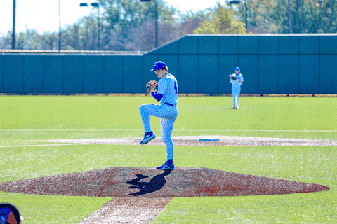 Baseball GIF by TCABB
