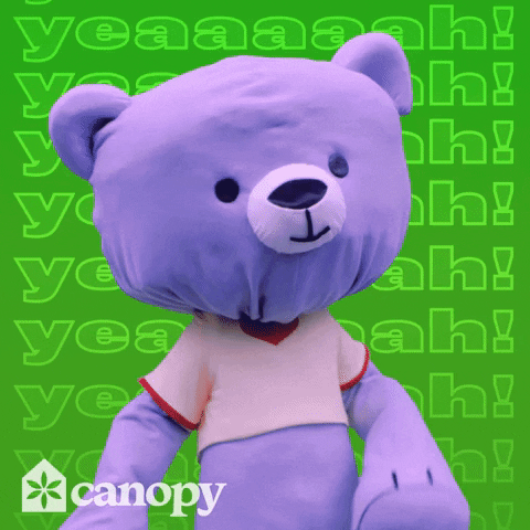 Nickspecads GIF by GIPHY Studios 2023