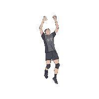 chengchengzz 排球 台電 台電男排 Sticker