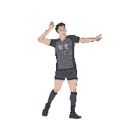 chengchengzz 排球 台電 台電男排 Sticker