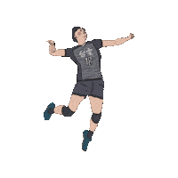 chengchengzz 排球 台電 台電男排 Sticker