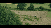 greenclimberna wow cool green drone GIF