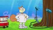 season 9 episode 23 GIF by SpongeBob SquarePants