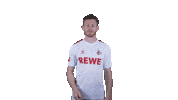 1 Fc Cologne Football Sticker by 1. FC Köln