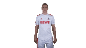 1 Fc Cologne Football Sticker by 1. FC Köln