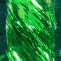 Scorpion Evm GIF by RelicEntertainment