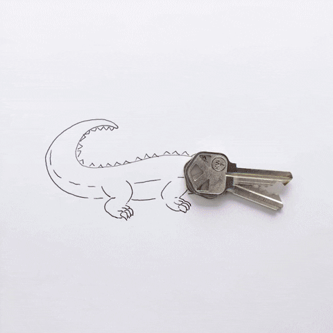 Stop Motion Fun GIF by cintascotch