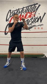 quinitboxing  GIF