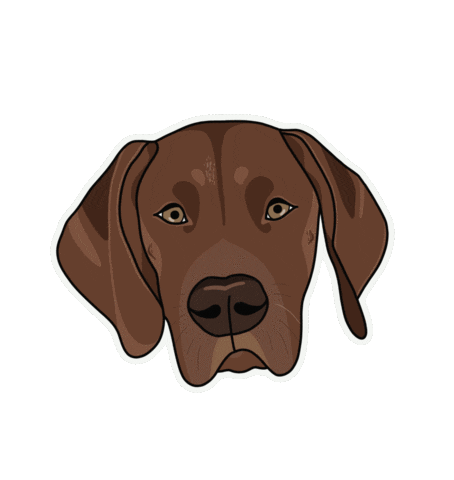 Dog Shark Sticker