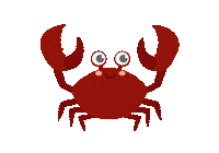 Beach Ocean Sticker by Ostsee Therme Scharbeutz