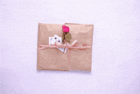 clothes unwrapping GIF by veduta