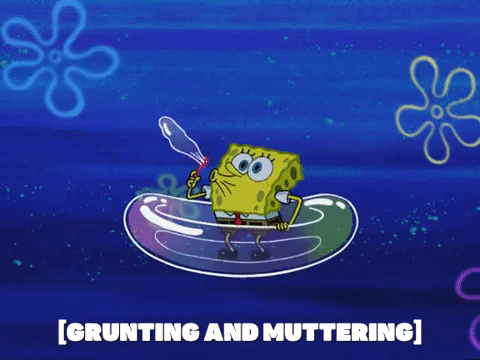 season 5 GIF by SpongeBob SquarePants