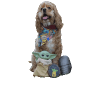 Cocker Spaniel Baby Yoda Sticker by Geekster Pets