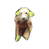 Star Wars Dog Sticker by chuber channel