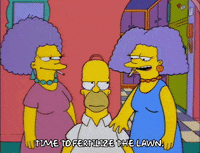 homer simpson GIF
