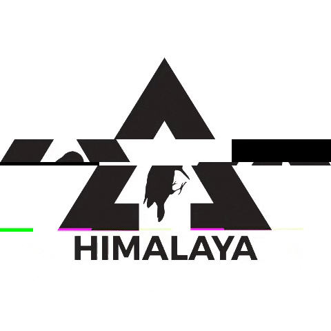 Pivertstore giphygifmaker himalaya pivert pivertpeople GIF