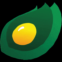 GrupoFertimig agro soja agronegocio milho GIF