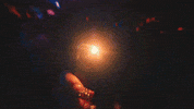 Sunglasses Shades GIF by Paul Russell