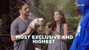 breeding show dog GIF by MOST EXPENSIVEST