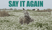 Say What Excuse Me GIF by U.S. Fish and Wildlife Service